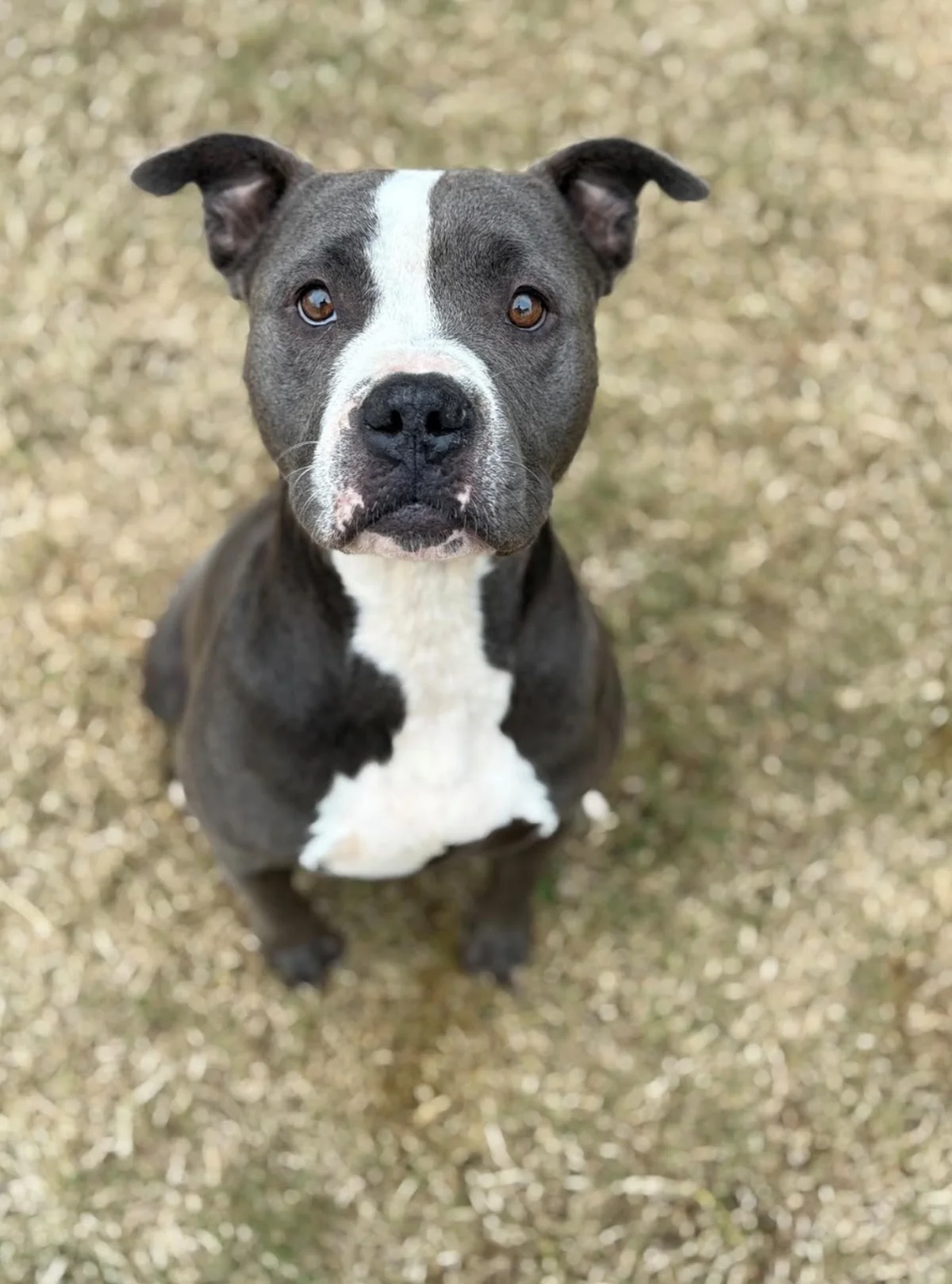 Screenshot 2026-03-23 at 1.23.44 PM.png