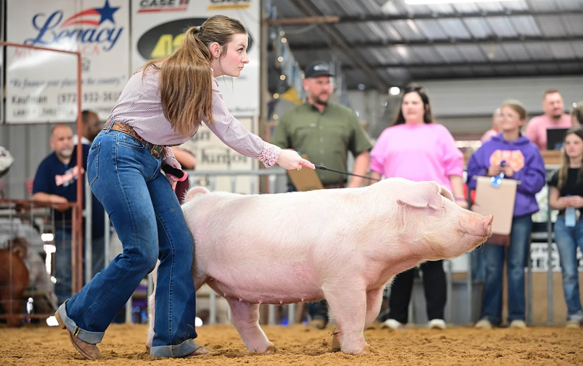 Screenshot 2026-03-02 9.01.15 AM.png