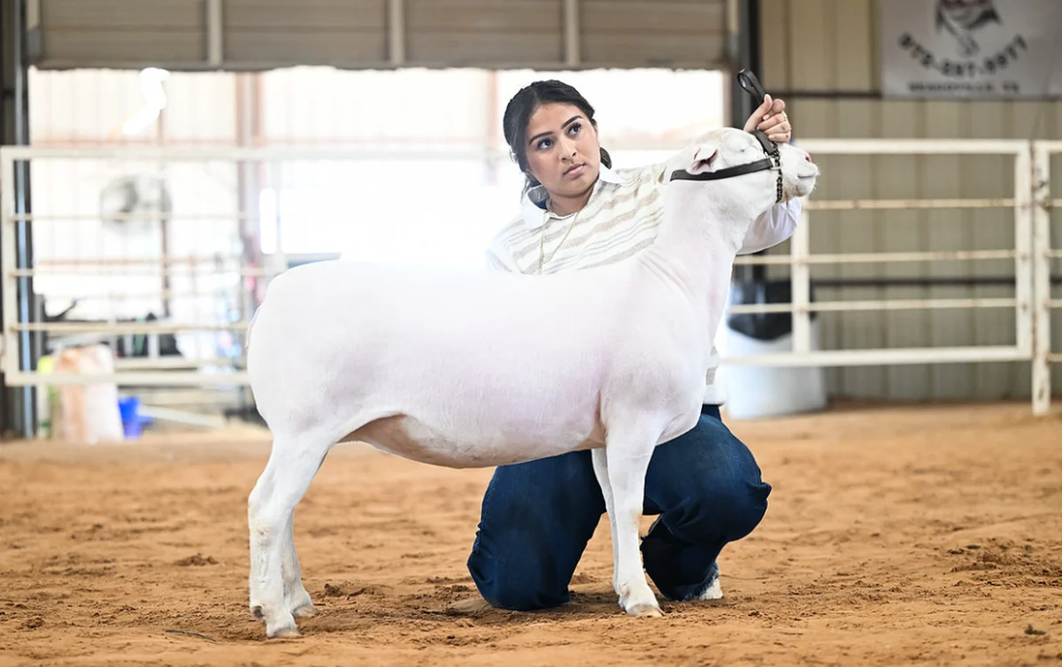 Screenshot 2026-03-02 9.02.06 AM.png