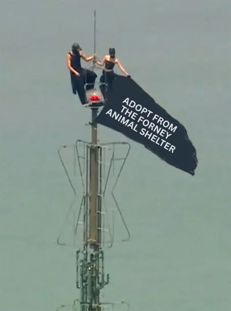 735354729_1029628123089250_7973611856137007080_n.png.jpeg