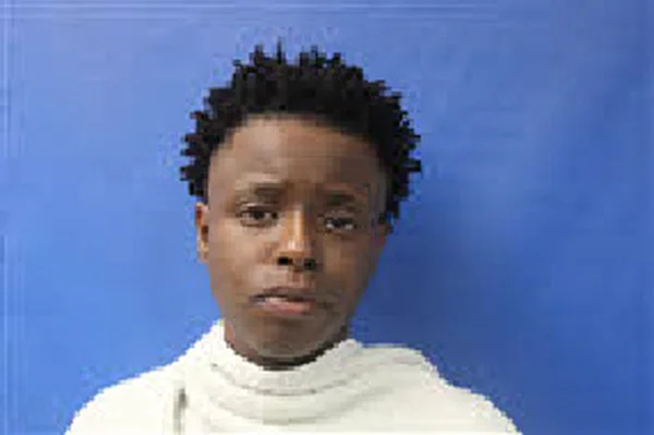 Local Woman Taken into Custody Following Multiple Charges