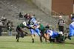 DSC_4187.jpg