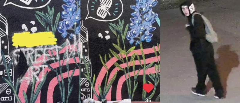 'Great Value Brand'-lookin graffitist sought by police for defacing mural in Fate