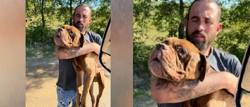 KCSO: Person of interest sought in animal dumping case
