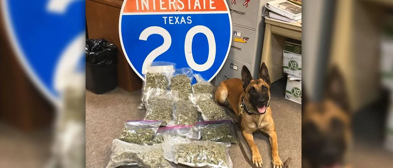 Interstate 20 traffic stop yields one arrest, seizure of 11 pounds of marijuana