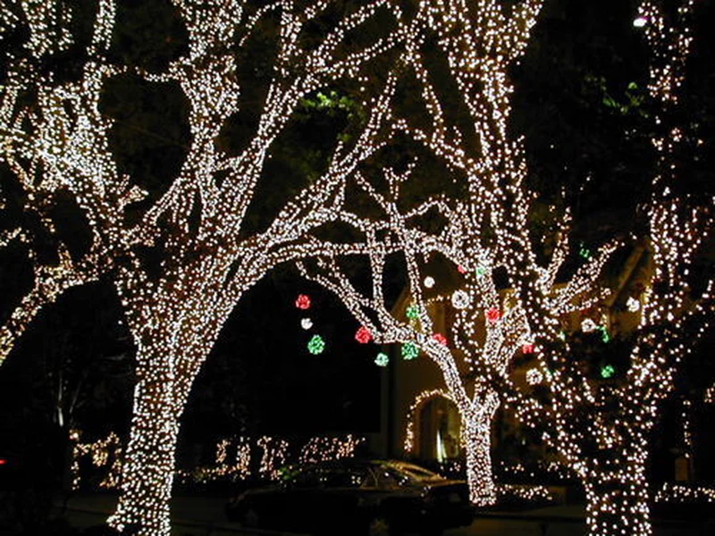 City to purchase trams for special events and Festival of Lights