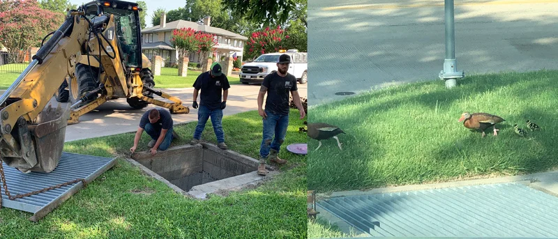 Forney Public Works Department crew members rescue nearly dozen ducklings from storm drain