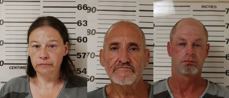 Three arrested during narcotics search warrant in Tool