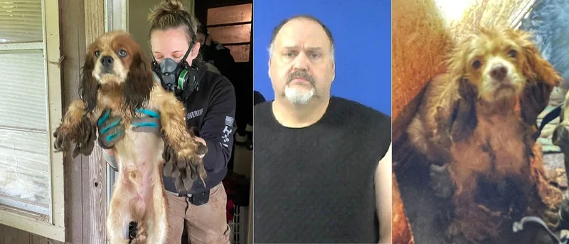 Van Zandt County man arrested following SPCA of Texas ACI rescue