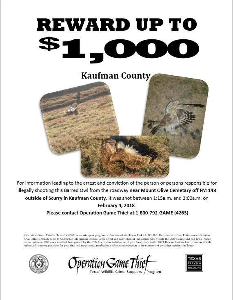 Texas Game Wardens seeking information on person who illegally shot owl in Kaufman County
