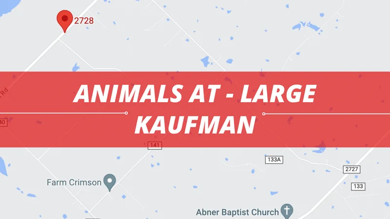 KCSO investigating reports of pack animals at large, reportedly responsible for livestock deaths
