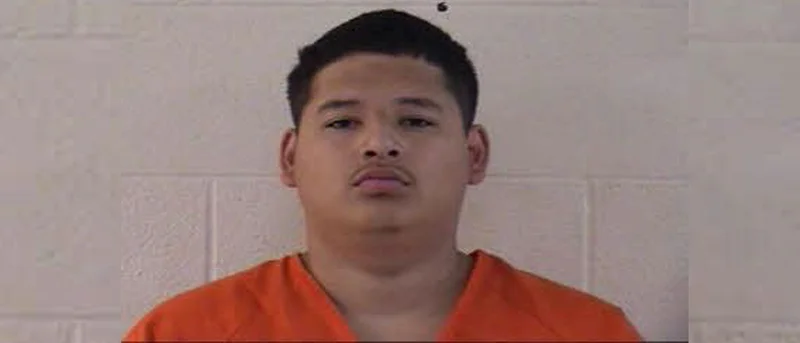 Dallas man arrested, accused of stealing puppy at gunpoint in Forney