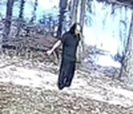 poi2