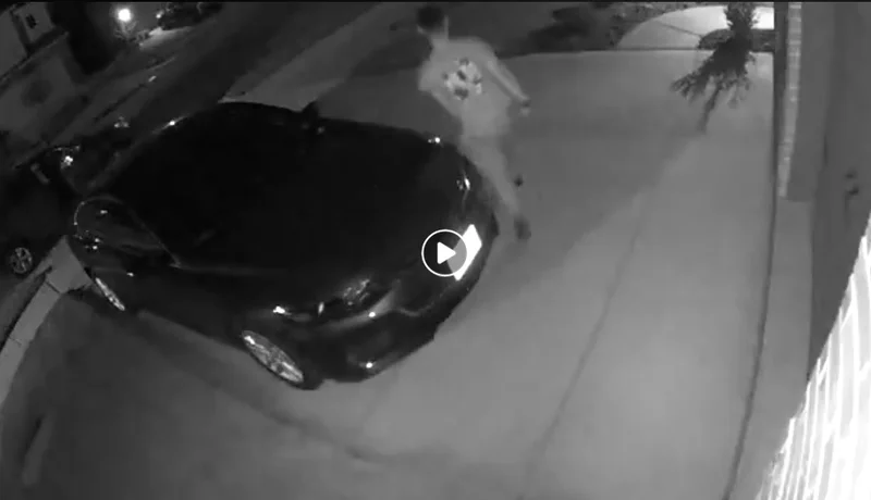 Individuals sought in Forney-area thefts, vehicle burglaries