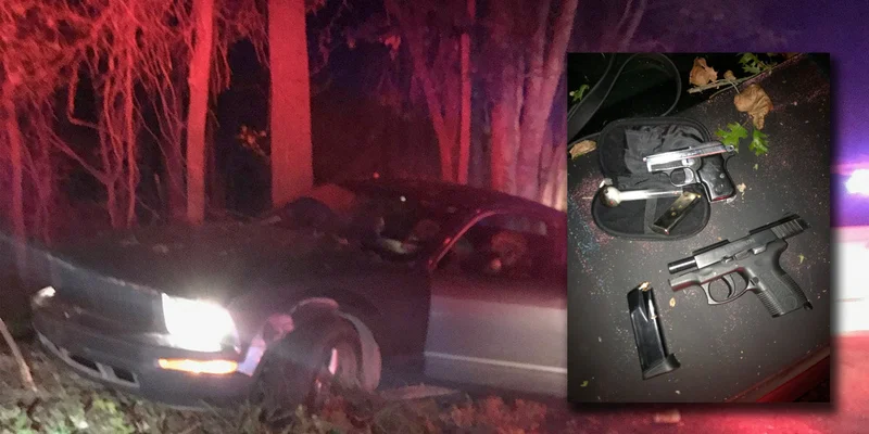 High-speed chase suspect surrenders when confronted by K-9