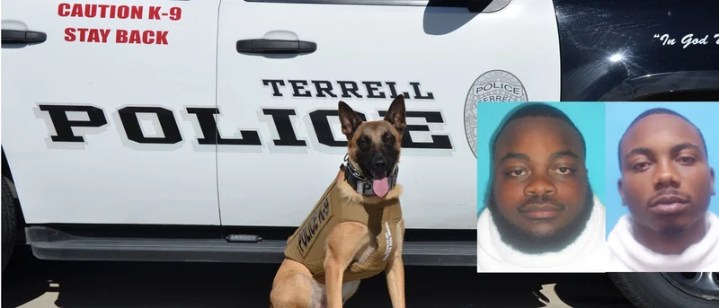 Cocaine, marijuana, handgun, and cash seized during K9-assisted traffic stop in Terrell