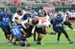 nfhs-7.jpg