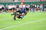 nfhs-8.jpg