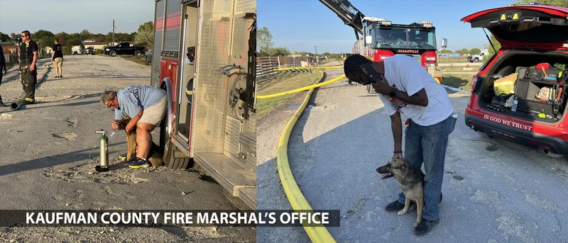 Crandall Fire Department recognized for rescuing working dog from house fire