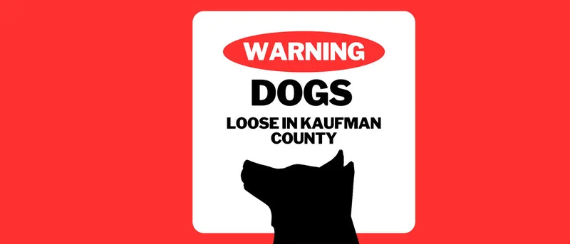 Kaufman County Sheriff's Office weighs in on stray dog problems