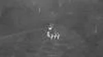 Kaufman County Sheriff's Office drone footage captures man's surrender, locates missing man