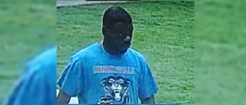 KCSO seeking person of interest in animal cruelty case, fatal dog shooting
