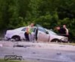 terry3.jpg