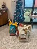 animal-shelter-donations.jpg
