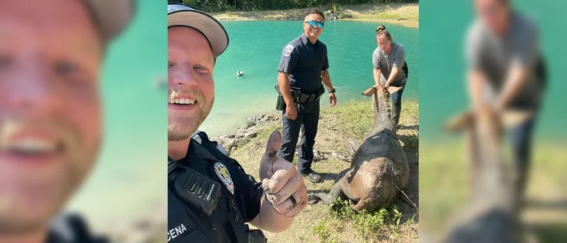 Mesquite police officers rescue distressed donkey stuck in mud