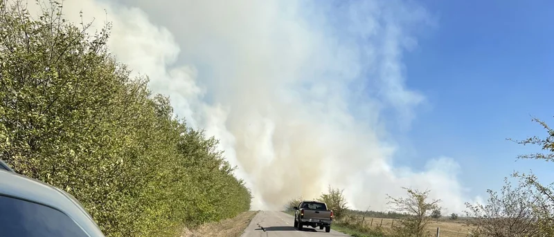 Area fire departments fighting large grass fire north of Forney