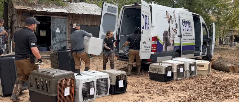 SPCA of Texas removes 18 allegedly abandoned animals from Kaufman County property