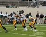 Jackrabbits