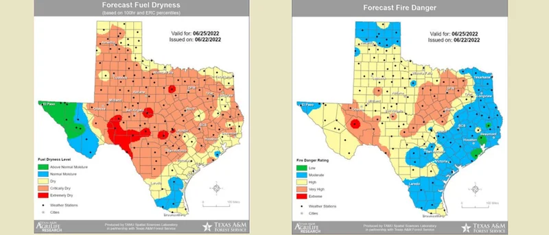 Texas A&M Forest Service warns of increased wildfire activity this weekend across the state