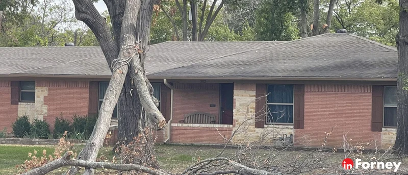 Man sustains head injury while tree trimming in Terrell, seriously injured
