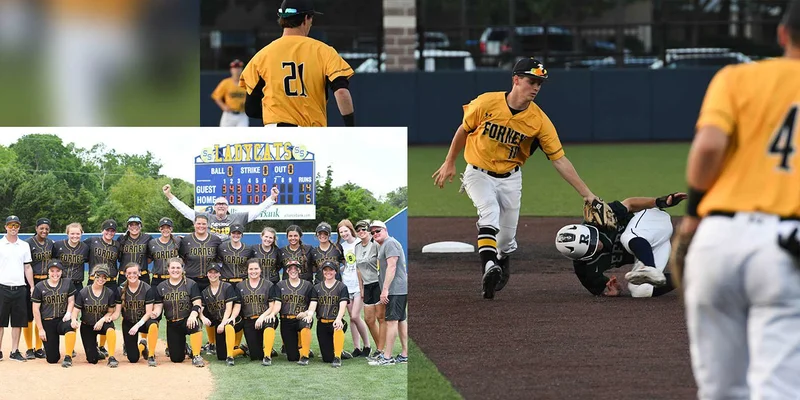 Forney HS baseball, softball advance in playoffs with dominating performances