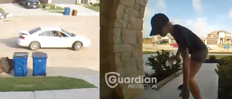 Kaufman police seeking assistance identifying porch pirate, driver