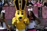 fhs-10.jpg