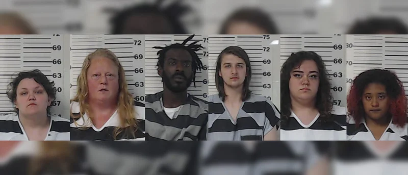 Six arrested for allegedly kidnapping and severely torturing a woman they met online, police say