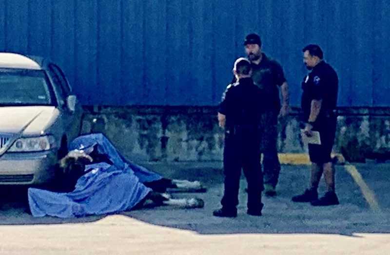 Terrell Police respond to auto-animal crash
