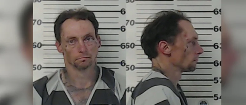 Henderson County deputy expected to make full recovery after being shot twice during pursuit; suspect captured on residential rooftop