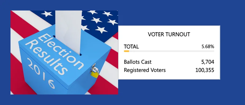 Local Elections Yield 5.68% Voter Turnout