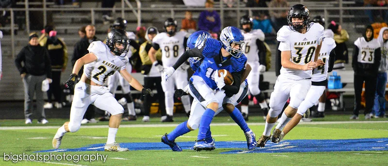 Falcons use homecoming to overpower lowly Lions