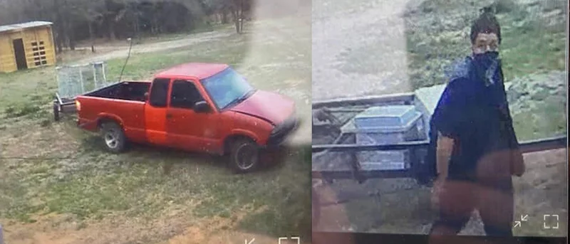 Henderson County Sheriff's Office seeking suspect who allegedly burglarized home, set if on fire