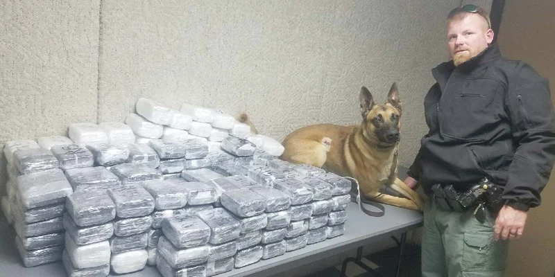 Van Zandt County Sheriff's Office K-9 unit seizes 220 pounds of marijuana in traffic stop